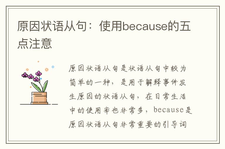 原因状语从句：使用because的五点注意