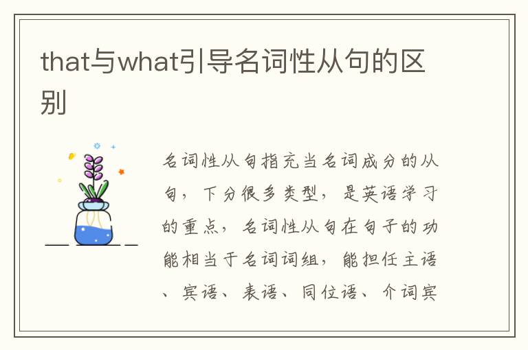 that与what引导名词性从句的区别